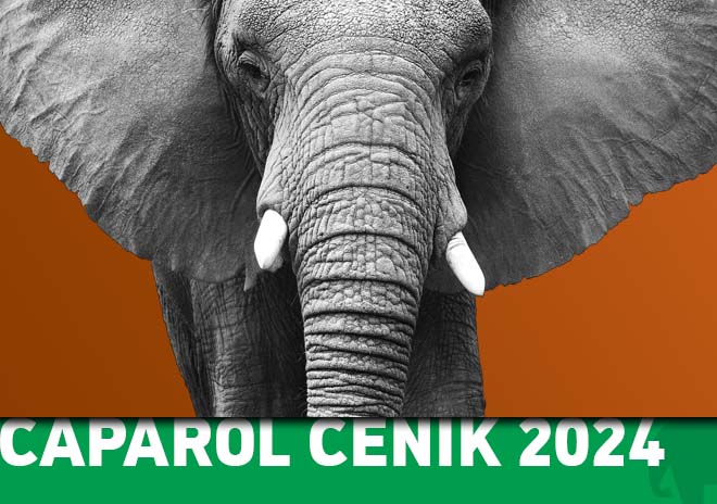 Caparol katalog 2024